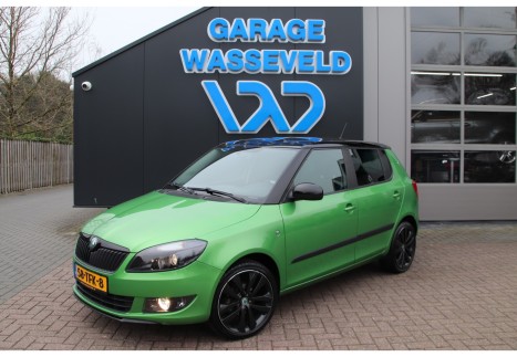 Skoda Fabia 1.2 TSI NAP Uniek 1e-Eigen Cruise/Climate/Navi/17inch